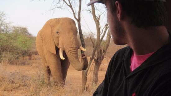 Safari AMB-ABDR-SWEETWATER-NAKS-MARA-NBO